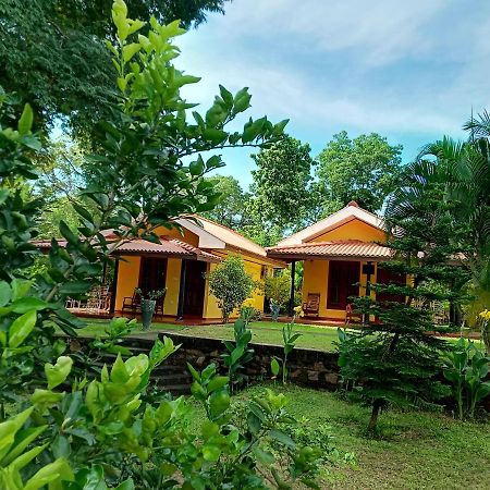 Amazon Cabanas Tissamaharama Exterior photo
