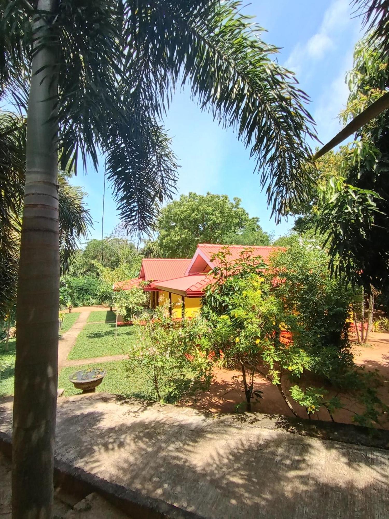Amazon Cabanas Tissamaharama Exterior photo