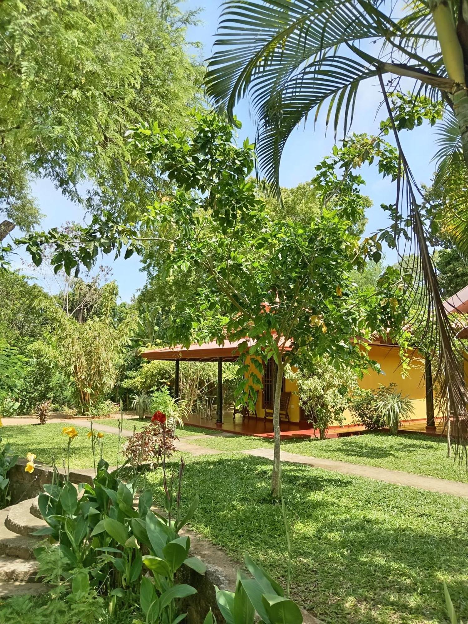 Amazon Cabanas Tissamaharama Exterior photo