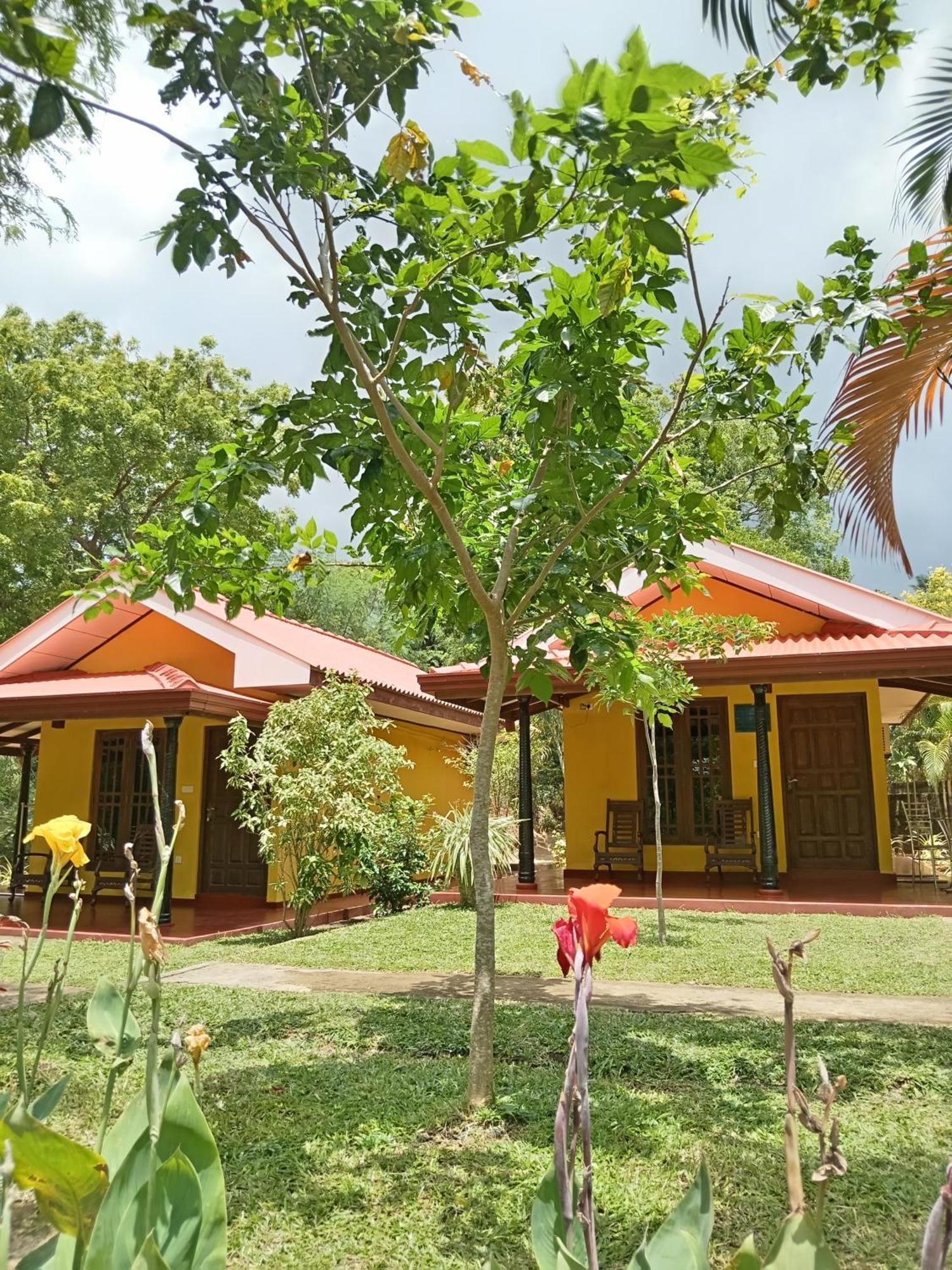 Amazon Cabanas Tissamaharama Exterior photo