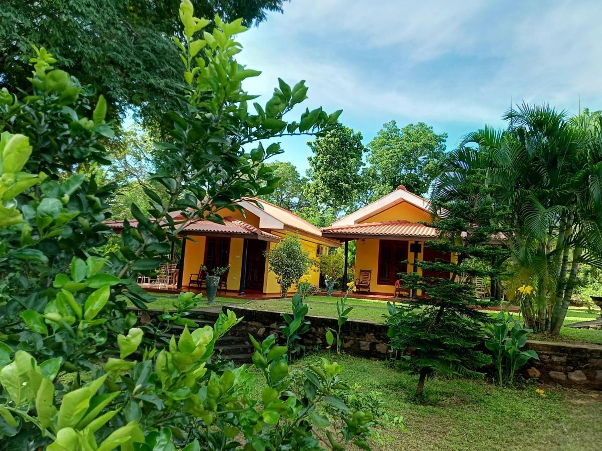 Amazon Cabanas Tissamaharama Exterior photo